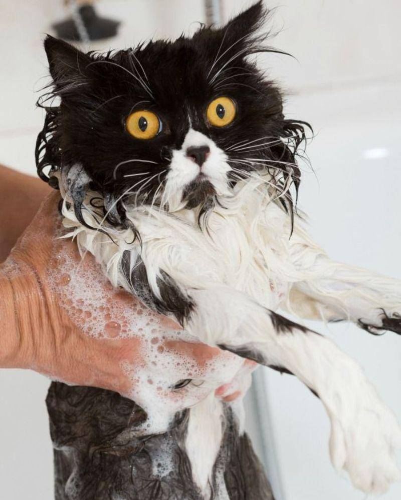 pinterest/totallythebomb.com